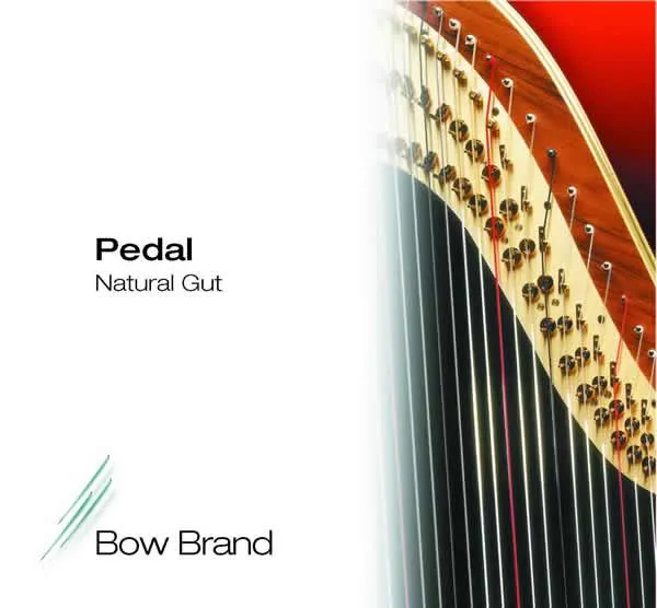 BOW BRAND pedaal darm - pedal std GUT nr 20 / 3 Sol