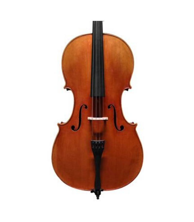 STUDENT Scott Cao Cello 4/4