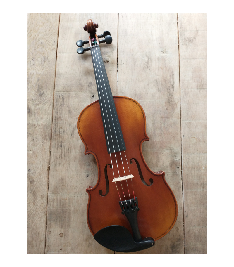 [stv150] STARTER Scott Cao Viool 1/4