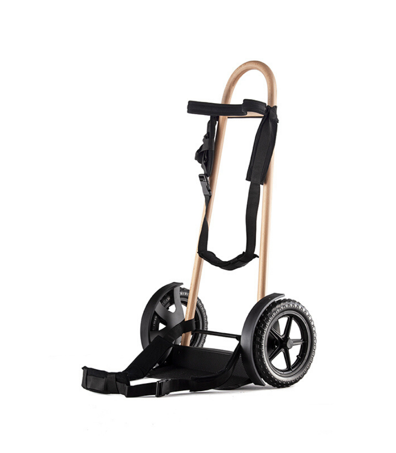 [harpkarsalvi] SALVI harp trolley 2 wielen