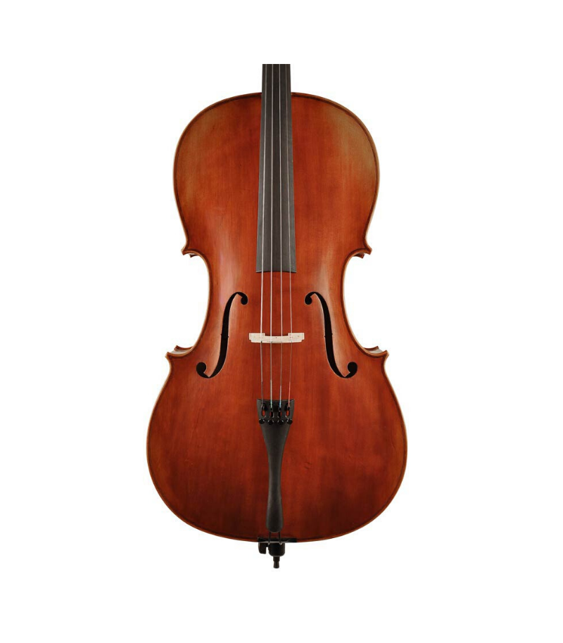 [stc15034] STARTER Scott Cao Cello  3/4