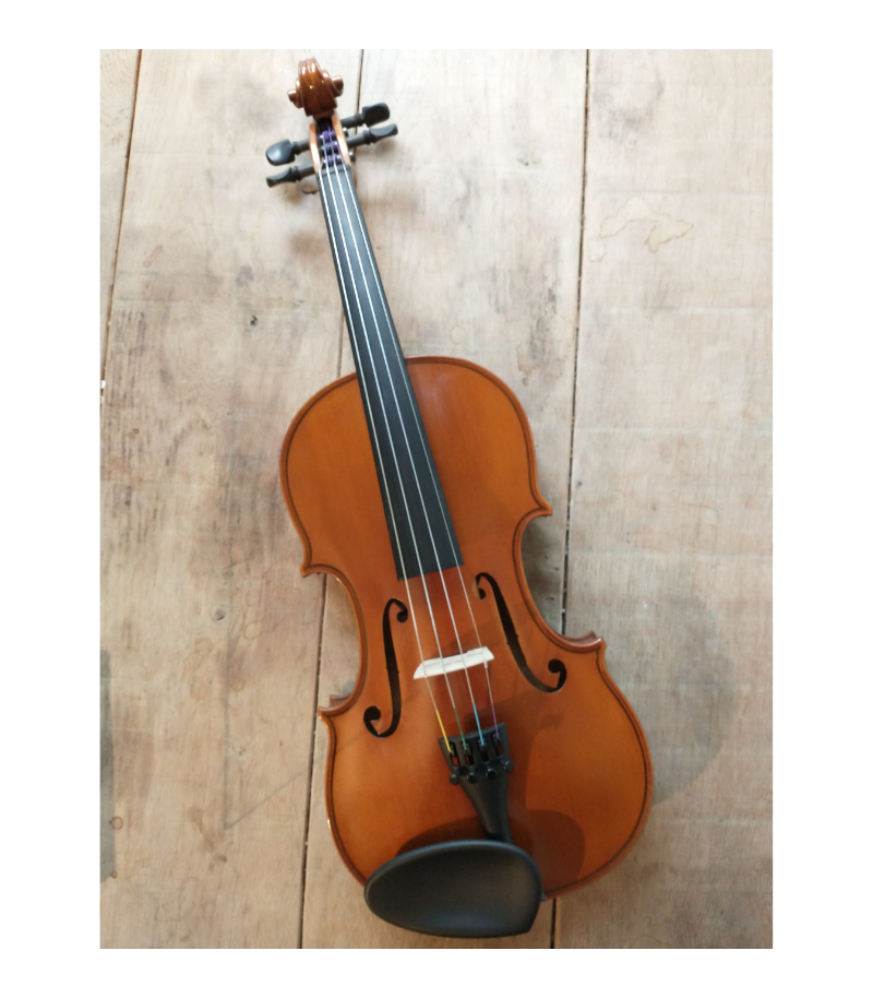 [delille] STUDENT Delille Viool 4/4