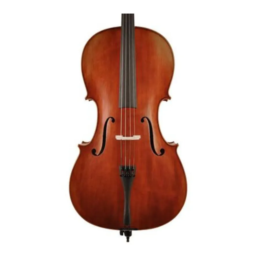 STUDENT Scott Cao Cello 3/4