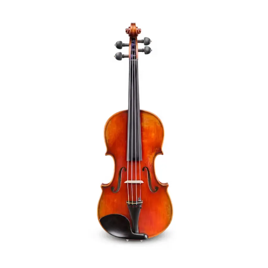 [Eastman] ADVANCED EASTMAN Viool  4/4 - Andreas EASTMAN Master*