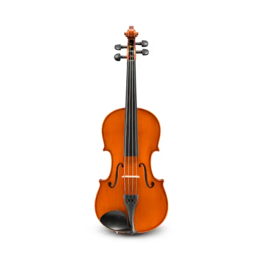 STARTER EASTMAN Viool 4/4 - Ivan Dunov