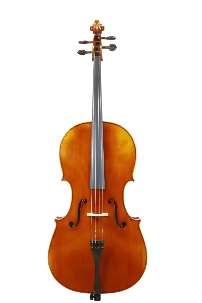 ADVANCED Scott Cao cello 7/8, 'Stainer model'