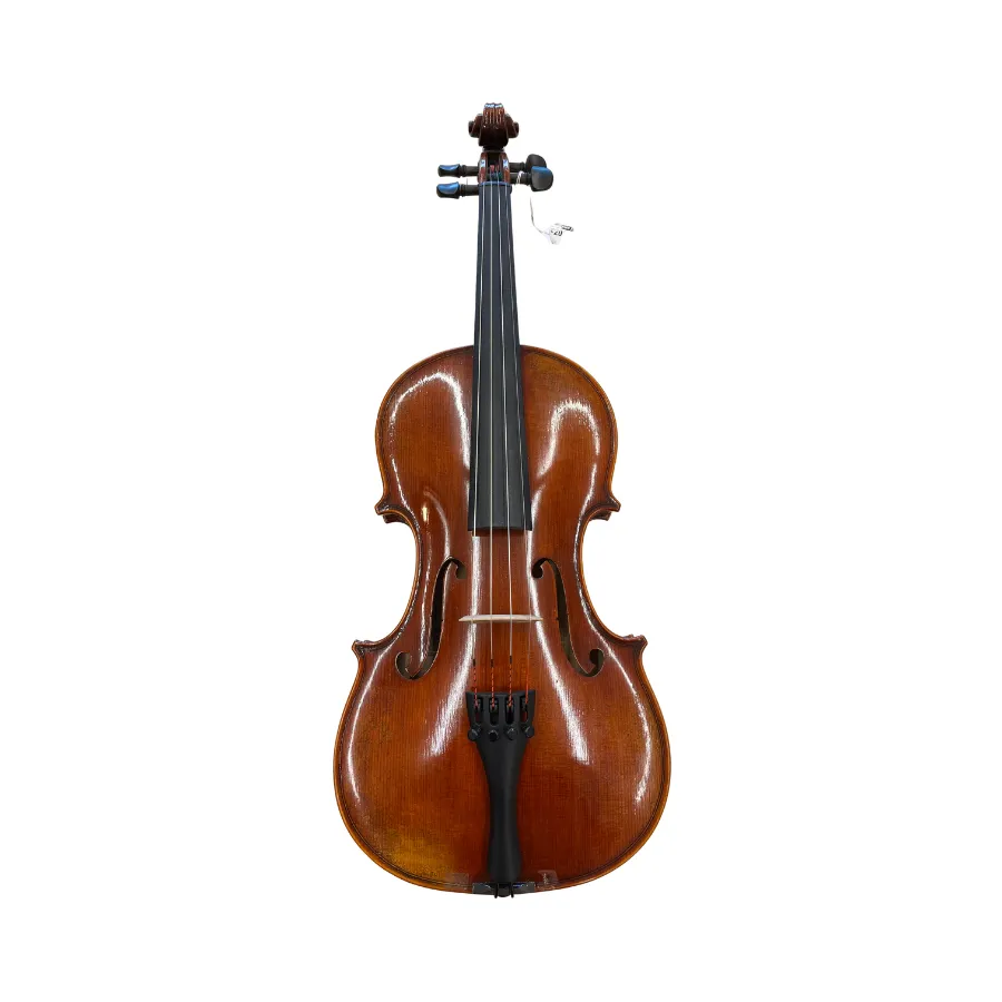 ADVANCED EASTMAN Viool  4/4- Rudoulf Doetsch*