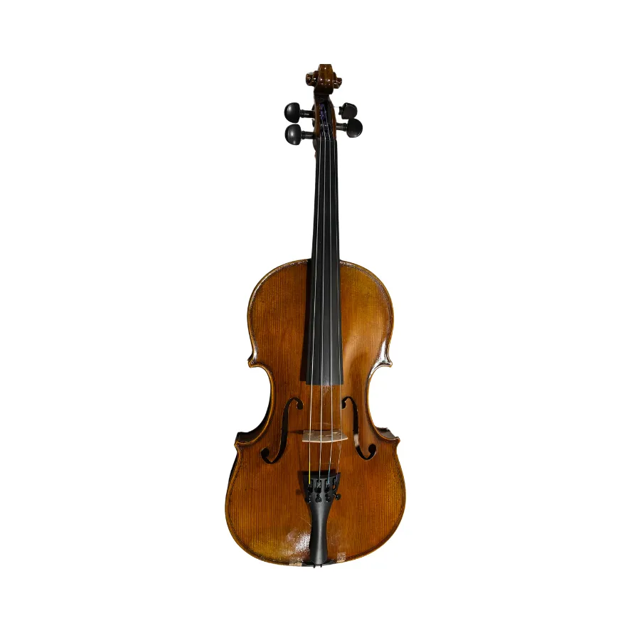STUDENT EASTMAN Viool  4/4- Albert Nebel “Guarneri”
