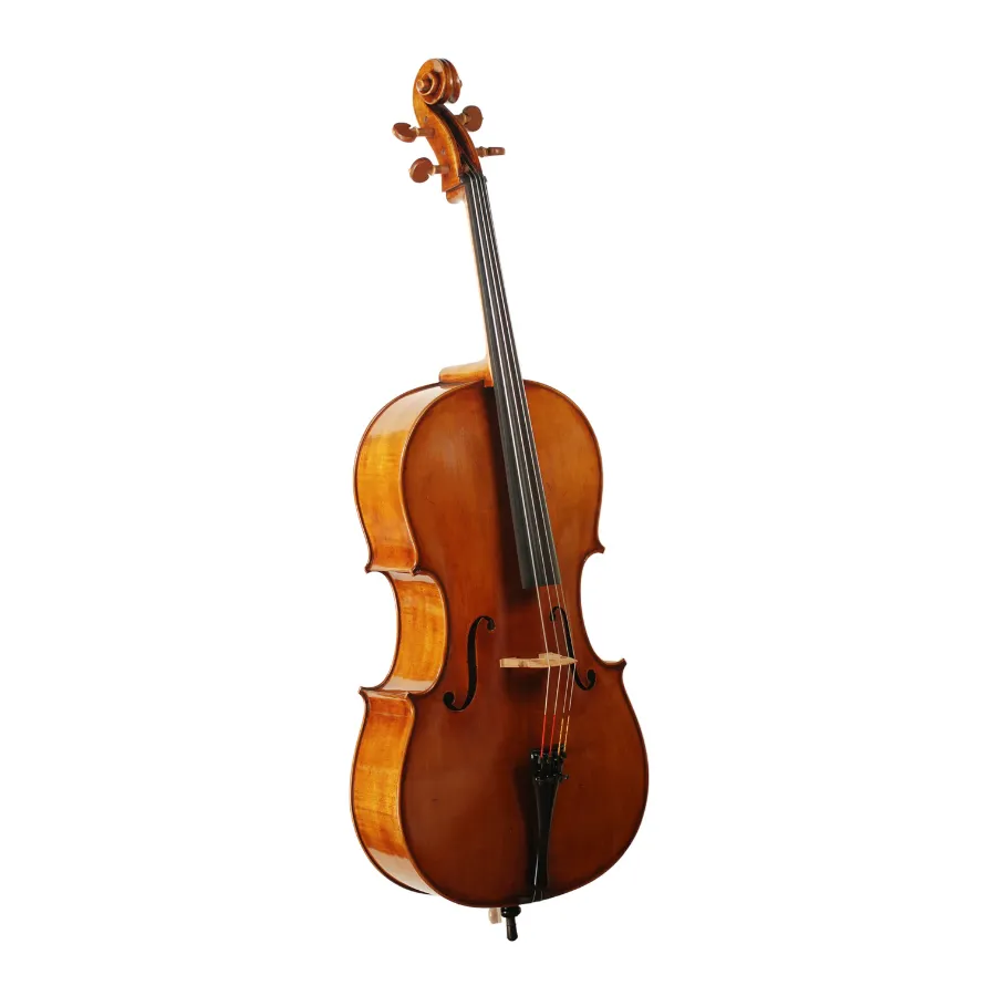 ADVANCED EASTMAN Cello 4/4 - Stradivarius - Special Edition