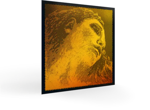 [P415421] PIRASTRO Evah Pirazzi GOLD vioolsnaar,  sol (g-4), 4/4, Gold