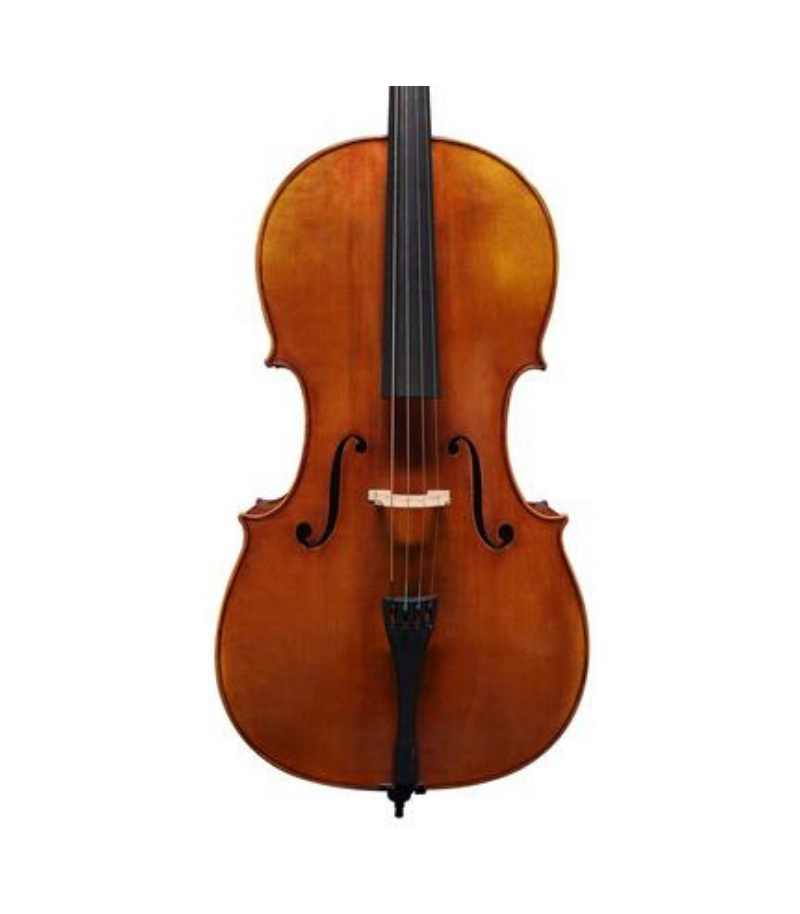 STUDENT Scott Cao Conservatory Cello 4/4