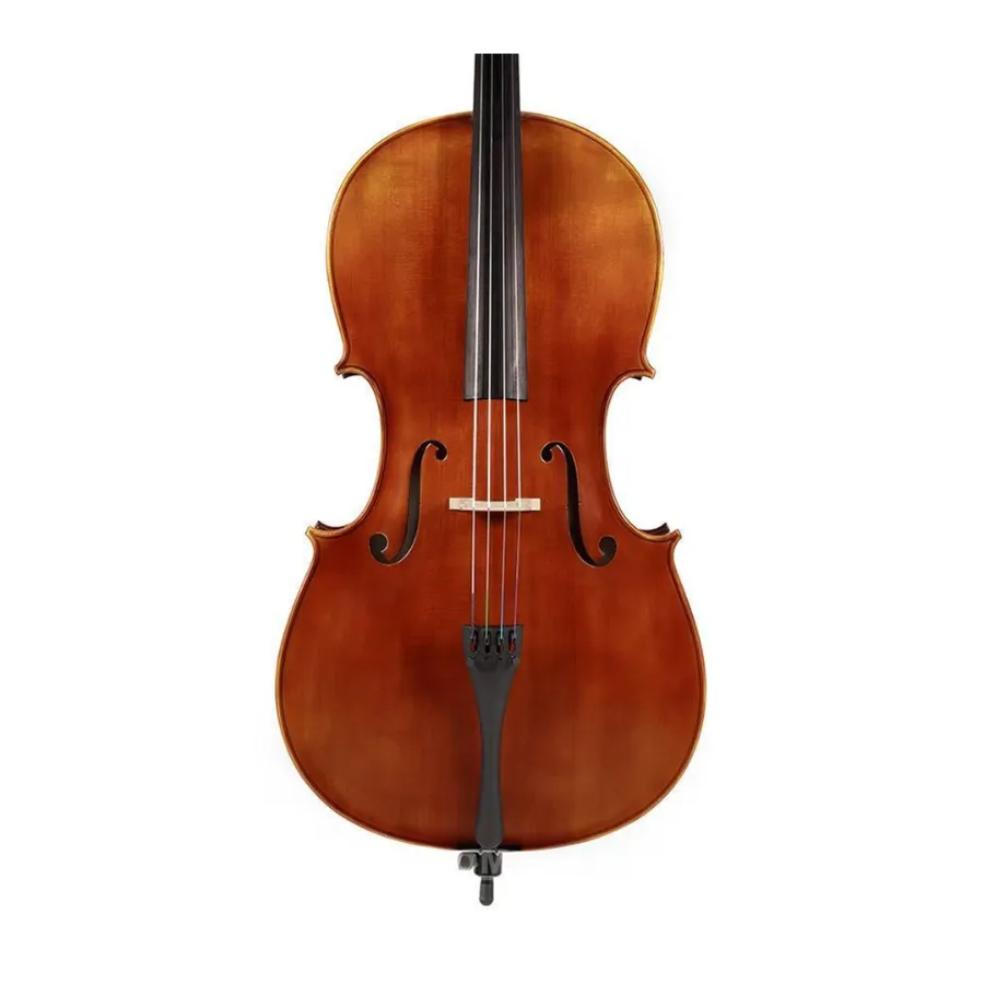 STARTER RUTNER Etude,  cello 3/4 - massief - olievernis